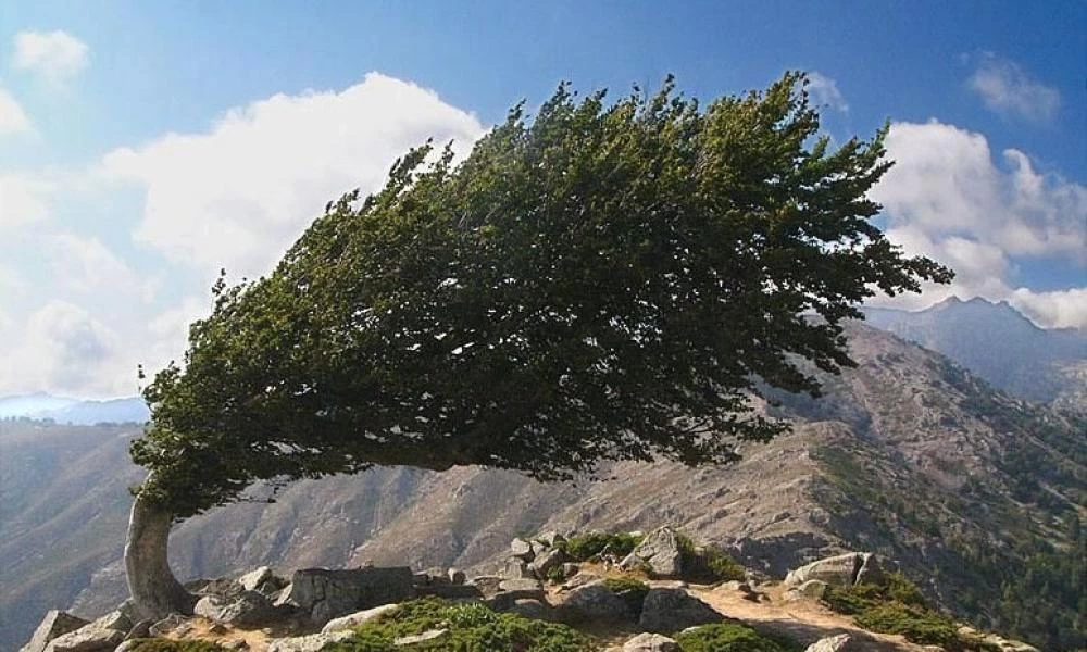 Καιρός: Τήνος - Ξεπέρασε τα 100 χιλιόμετρα η ταχύτητα του ανέμου